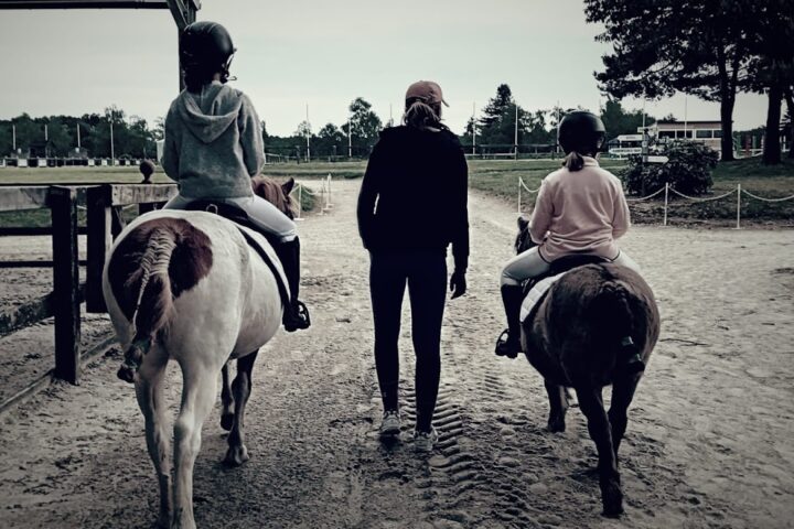 Les Poneys de Marie