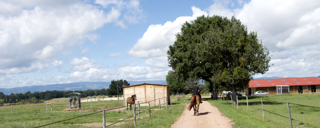 Montrenard Équitation