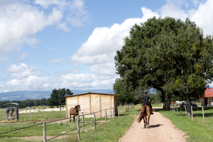 Montrenard Équitation
