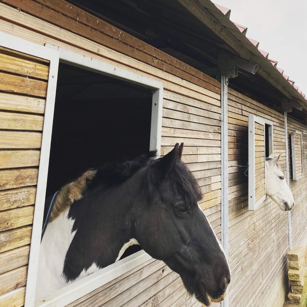 Haras de l’Oison