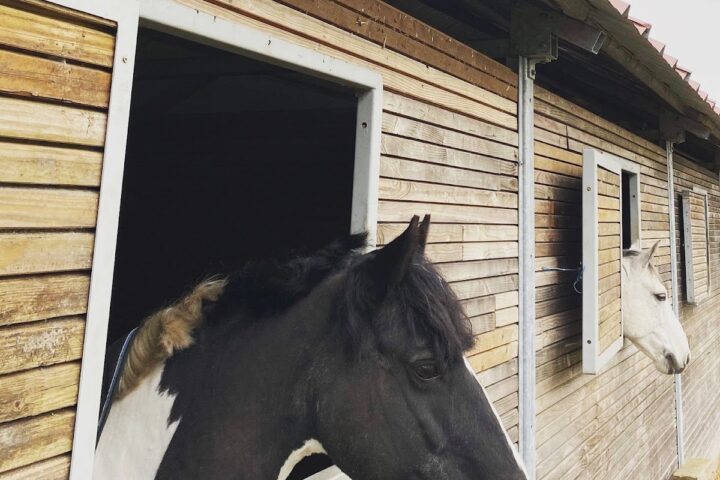 Haras de l&rsquo;Oison