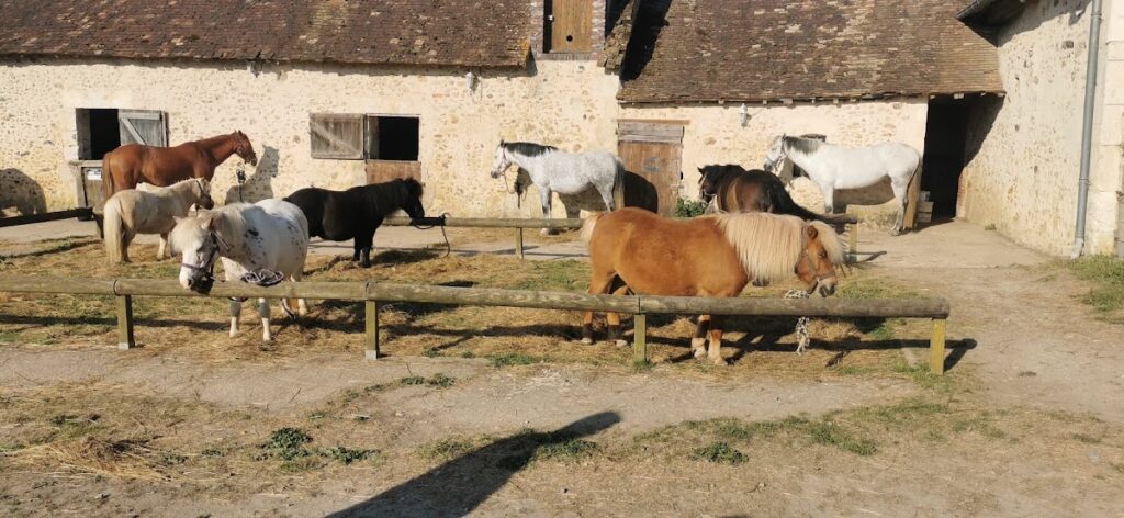 Poney Club des Cormiers