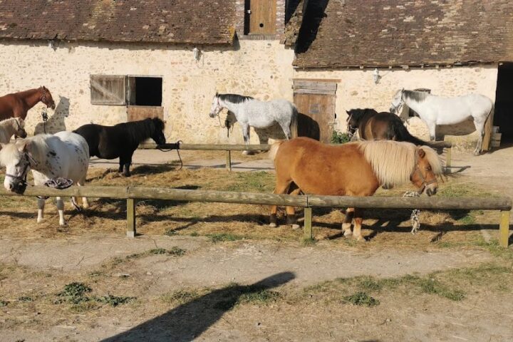Poney Club des Cormiers